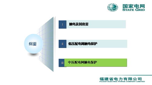 配電網(wǎng)觸電保護(hù)技術(shù)與網(wǎng)絡(luò)技術(shù)服務(wù)融合創(chuàng)新——李天友會議報(bào)告綜述